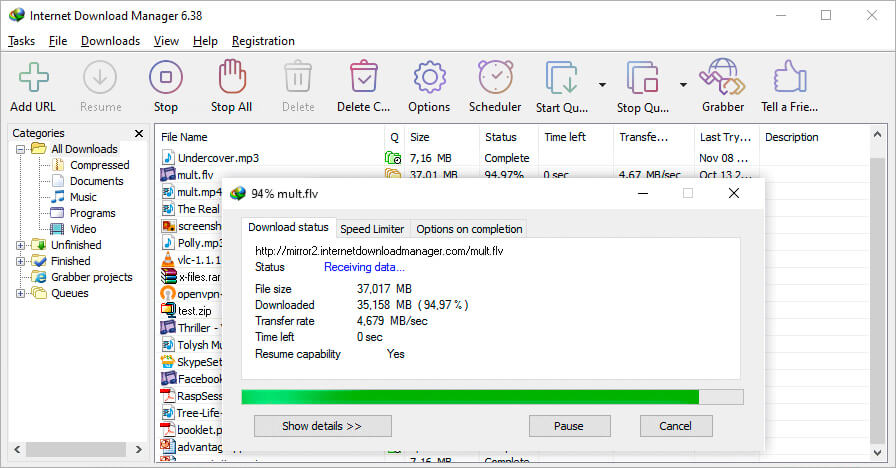 IDM download