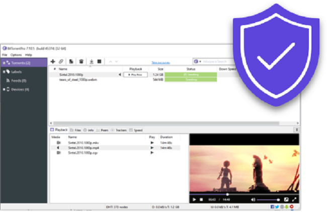 Bittorrent Pro for pc