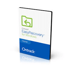 EasyRecovery Professional_