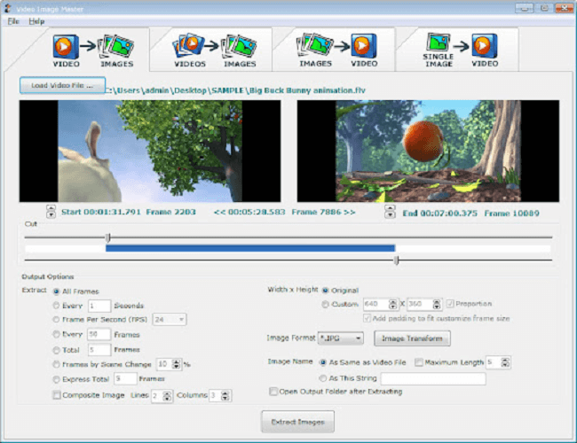 Video Image Master Pro for pc