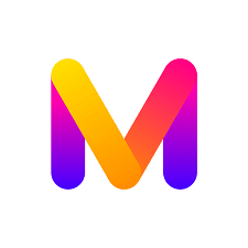 Video Image Master Pro